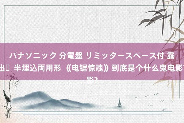 パナソニック 分電盤 リミッタースペース付 露出・半埋込両用形 《电锯惊魂》到底是个什么鬼电影?